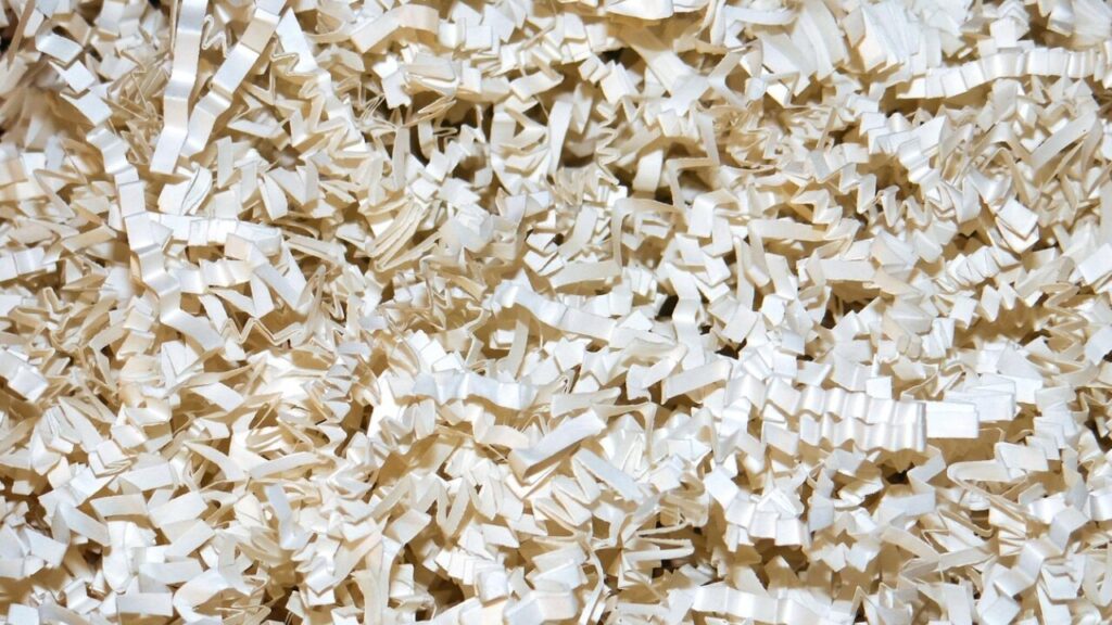 Demande de mesure de protection en urgence - modèle à télécharger en PDF