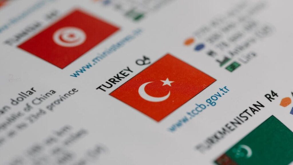 Demande de visa pour la Turquie - modèle à télécharger en PDF